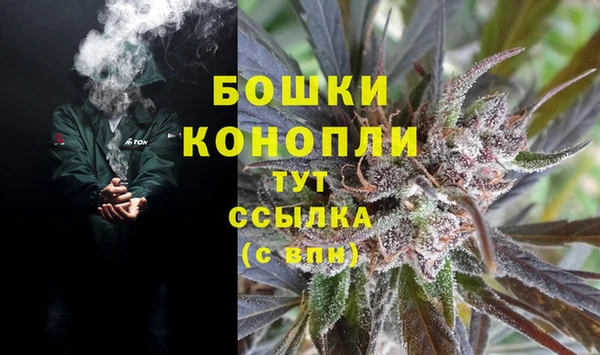 дурь Алзамай