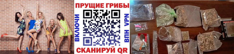 купить наркотики сайты  Урай  Галлюциногенные грибы MAGIC MUSHROOMS 